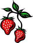 Illustration de fraises.