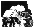 Trois ours qui mangent près d'une tente de campeurs.