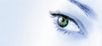 Un oeil vert.