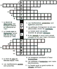 Exercice Mots croisés