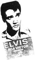 Photo d'Elvis