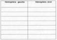 Exercice Les activités des hémisphères du cerveau