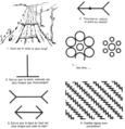 Exercice Qu'est-ce qu'une illusion d'optique?