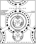 Illustration démontrant le processus d'apprentissage