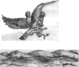 Garçon monté sur les ailes d'un oiseau.
