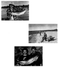 Photographies de pêcheurs et de leurs prises.