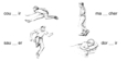 Exercice - Trouve la consonne manquante dans chaque mot.