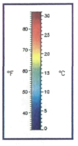 Un thermomètre